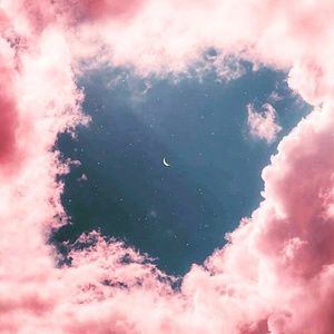 Meet your Posher, Lily